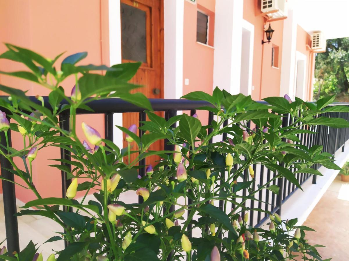 Aronis Apartments Беницес Екстериор снимка